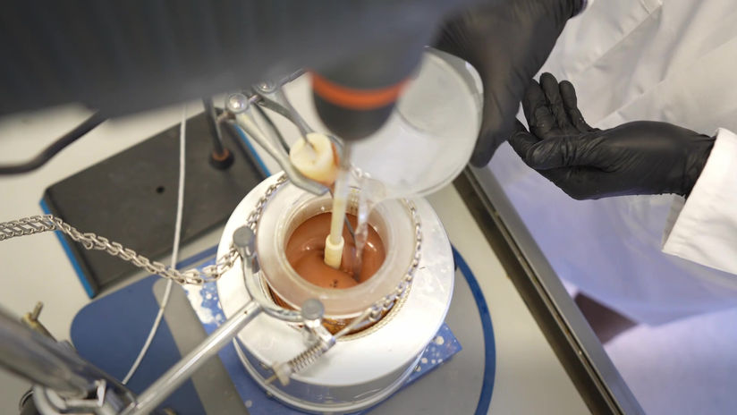 How to produce a fatty biopolymer